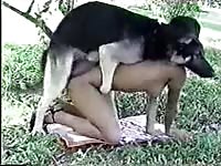 Compilation of dogs all busting a nut in their owner&#039;s tight pussy
