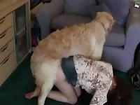 Inviting brunette slut on her knees sucking her man while being pleasured by the family pet