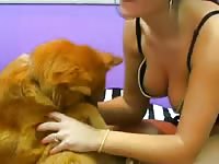 Delicious looking brunette cougar with fabulous breasts sucking her dogs cock on live webcam