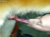 Cum hungry teenage whore shows off her dick sucking skills on a dog in this beast sex scene