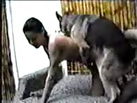 Sex-addicted never before seen teen mounted and screwed deep by horny large K9 friend