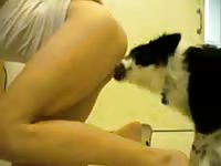 Filthy married hoe bends over as she enjoys oral sex from an animal in this frisky home video