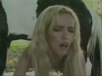 Married cougar getting her asshole rammed by an enormous horse in this bestiality movie