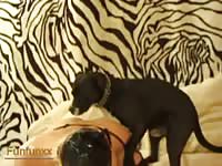 FunFunxx - Teen hussy getting her damp fuck hole screwed by an endowed dog in this zoo fetish video