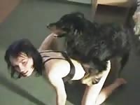 Coed trollop getting her moist fuck hole screwed by an endowed dog in this zoo sex movie