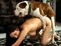 Dangerous coed whore sucking dog cock in this sensational xxx amateur beast fetish video