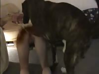 Experienced teen whore getting fucked by a dog in this homemade bestiality sex movie