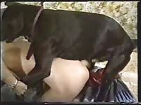 Older tramp getting her shaved hole screwed by an enormous dog in this zoo fucking movie