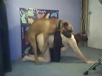 Large breasted newcomer to the world of bestiality has her sweet wet pussy fucked by K9