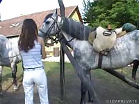 Horse Story DVD - Amazing brunette college babe getting hammered by a horse in this thrilling animal fetish flick