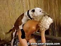 AnimalPass - Glorious homemade bestiality sex video featuring naughty cougar screwed by horny K9