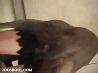 Zooskool - Stunning teen babe getting drilled by a dog in this thrilling hardcore animal fetish footage