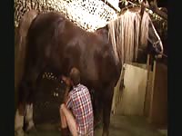 Fresh-faced animal sex loving dude sucks horse cock for a massive warm load of cum to enjoy