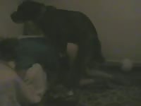Never before seen filthy eighteen year old girl engaging in bestiality with a K9 in this video