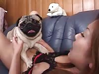 Couple of fresh-faced Asian teenage stunner enjoy pussy pleasuring with dogs in this video