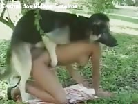 Delightful young ebony babe gets naked then gets fucked well by a strong German Shepard