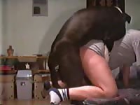 Teenage tramp getting her drenched hole screwed by an endowed K9 in this zoo sex movie