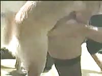Sassy always dirty older tramp welcomes a pussy fucking with a horse in this beast sex vid