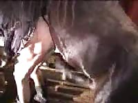 Brazen amateur cougar whore gets fucked by a horse in this homemade beast sex video