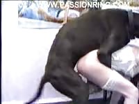 Delightful anal fucking movie featuring a amateur college-aged trollop enjoying dog shaft