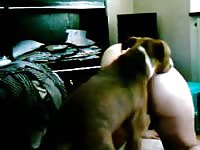 Wound up fresh-faced married tramp getting her snatch drilled by a dog in this bestiality vid