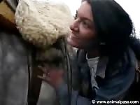 AnimalPass - Inviting dark-haired married tramp blowing a horse in this naughty amateur beast fetish footage