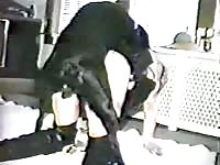 Worked-up cougar in hot knee high boots takes a fabulous doggystyle drilling from huge dog