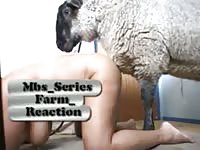 Sex-charged never before seen housewife mounted and fucked really deep by a sheep