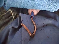 Crazy dude inserts live worm down his urethra
