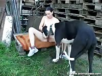 242 rusz russian bestiality 2018 zoo sex from moscow