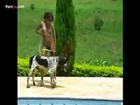 Brazilian dog anal