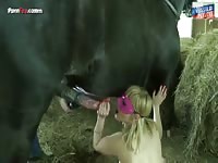 Intense horse fucking blonde