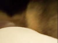 Jokersgirl s pooch 2