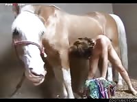 Skinny cutie losing bestiality virginity with a horse