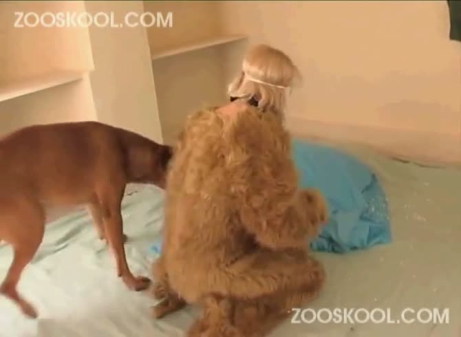 Zooskool Mp4 - Zooskool summer summer madness - Zoophilia Porn, Zoophilia Porn With Dog at  MadnessPorn