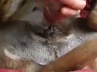 Tan 001 Gaybeast.com - Zoophilia Man