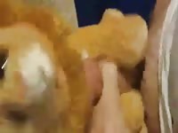 Teen boy with plush 2 in dog bed Gaybeast - Dude fucks animal