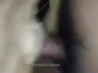 Thai love Gaybeast - Dude and animal Porn