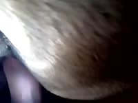 The teen and the two year old Gaybeast - Animal Porn Man