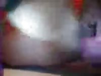 Time alone Gaybeast - Dude and animal Porn