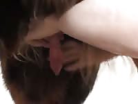 Touch dick Gaybeast - Beastiality with Dude