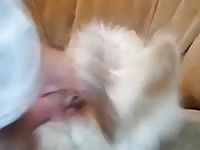 Unser nachwuchs will immer mehr Gaybeast - Beastiality Man