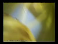 Vaginal sex with chloe Gaybeast.com - Beastiality Man