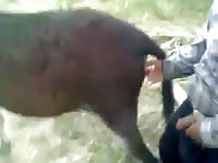 Velho metendo na jumentinha Gaybeast - Animal Porn Man