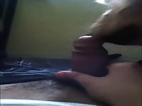 Venida a lamidas oral Gaybeast - Dude fucks animal
