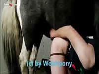 Welshpony fucked on his knees