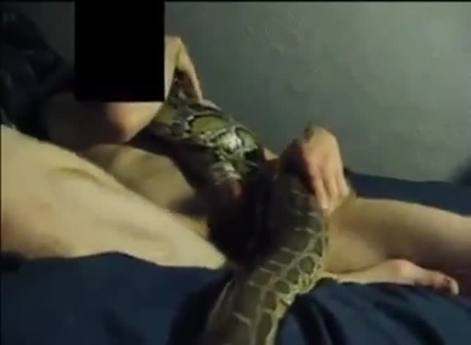 Man Fucks Reptile