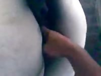 White mare fingering Gaybeast.com - Man and animal Sex