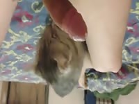 With freddy Gaybeast - Beastiality with Dude