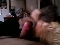 Wolf puppet blowjob Gaybeast - Beastiality Man